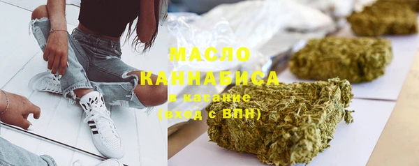 крисы Корсаков