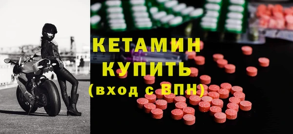 крисы Корсаков