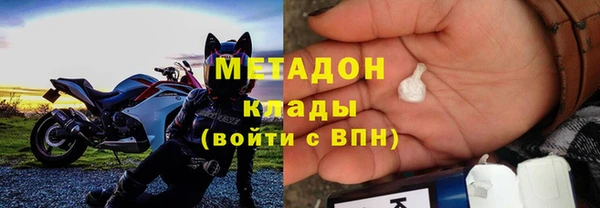 крисы Корсаков
