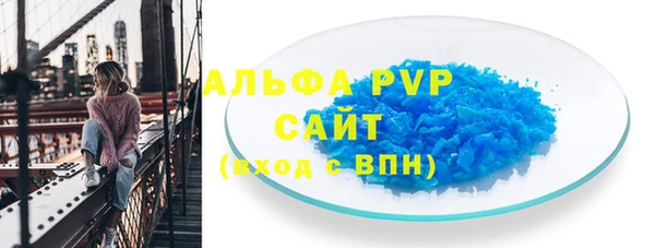 крисы Корсаков
