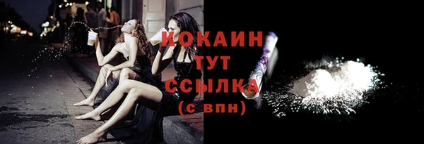 крисы Корсаков