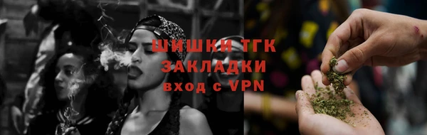 крисы Корсаков