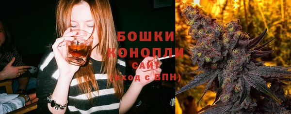 ГАЛЛЮЦИНОГЕННЫЕ ГРИБЫ Козельск