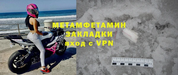 крисы Корсаков